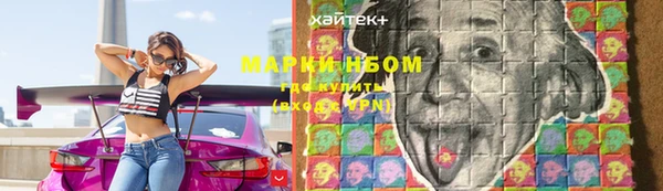 молекула духа Вязьма
