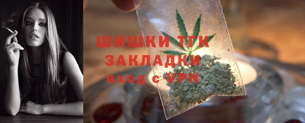 молекула духа Вязьма
