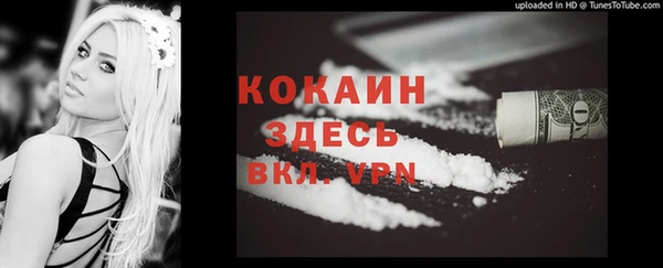молекула духа Вязьма