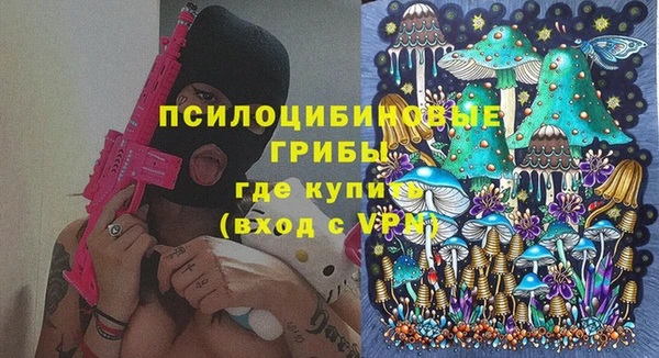 индика Сосновый Бор