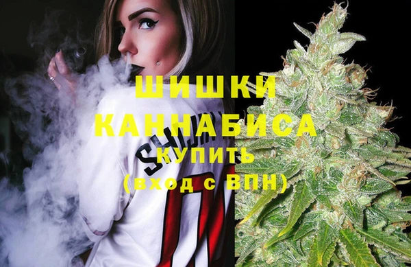 молекула духа Вязьма