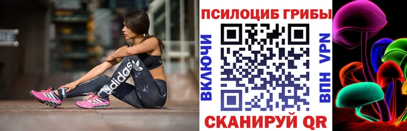 shop клад  купить наркоту  Щёлкино  Галлюциногенные грибы Psilocybe 
